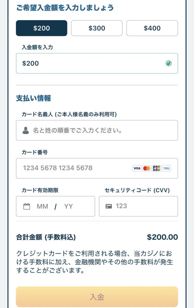 payment3